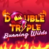 Double Triple Burning WildsClawbuster screenshot